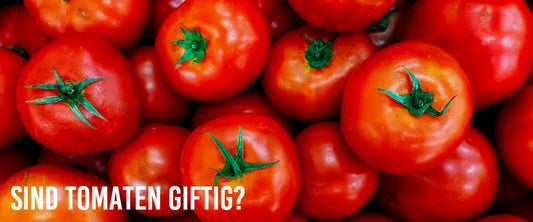 Sind Tomaten giftig?